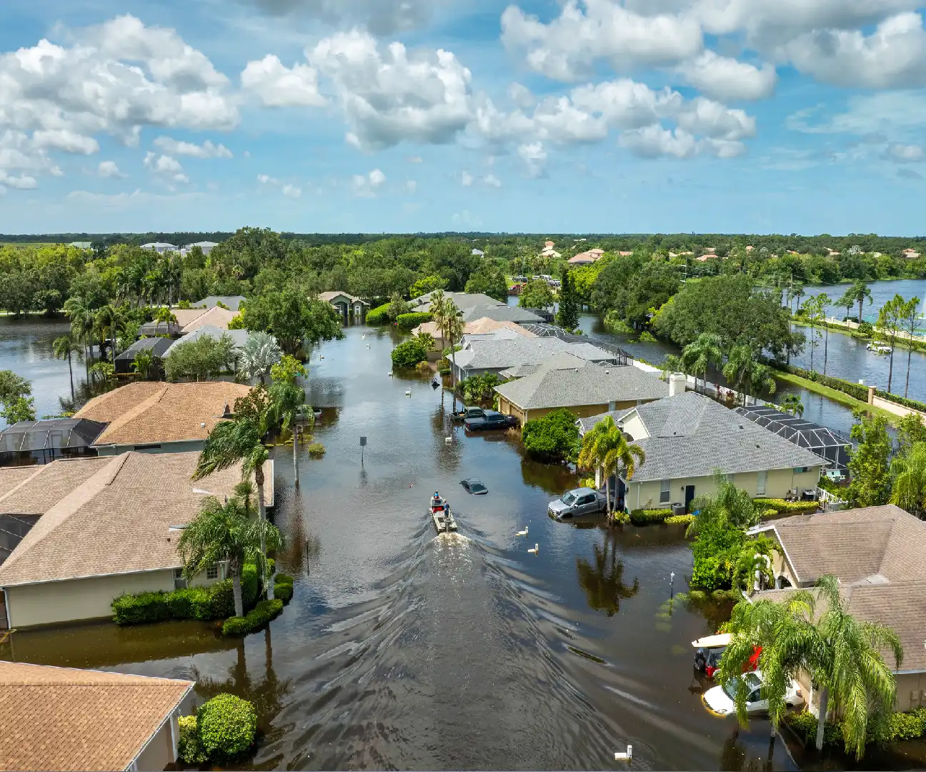 image-2026-03-19T075751.704 (4)