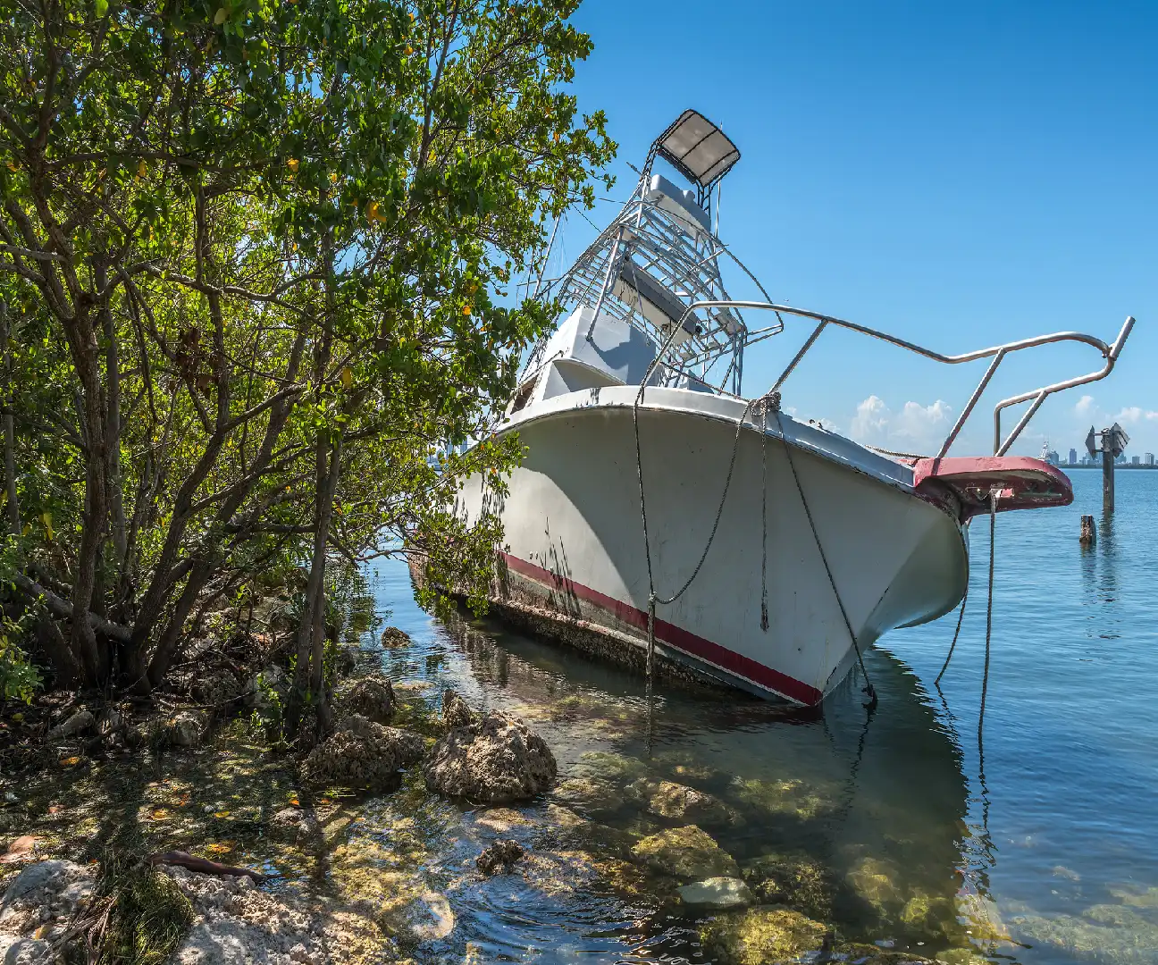 image-2026-03-19T075751.704 (8)